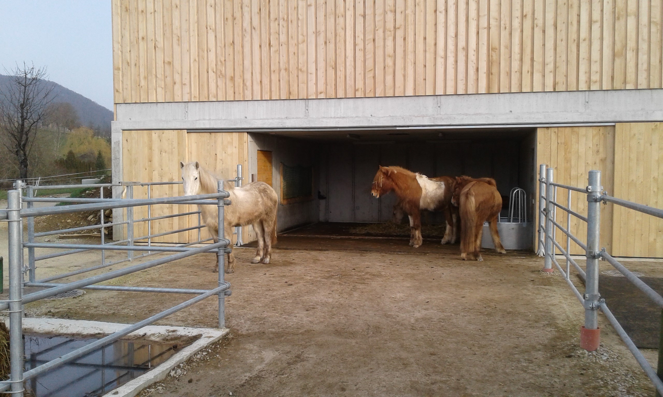 20180108_093801k (2)